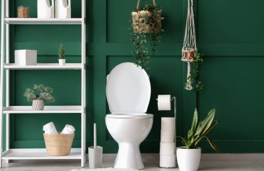 Tuvalet, ev bitkileri ve raflar tuvalette.