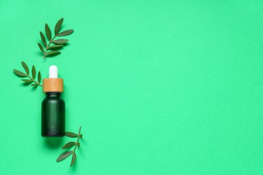 Yeşil arka planda gerekli yağ ve bitki yapraklarından oluşan bir kompozisyon