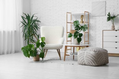 Oturma odasının modern iç mekanı. Masada ve şık koltukta tropikal canavar yaprakları var.