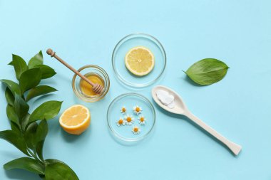 Mavi arka planda doğal kozmetik ürünleri hazırlamak için bitkiler ve malzemelerle dolu petri kapları