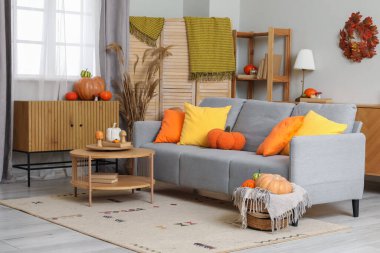 Oturma odası içi gri kanepe, raf ünitesi ve farklı balkabaklarıyla dolu hasır sepet.