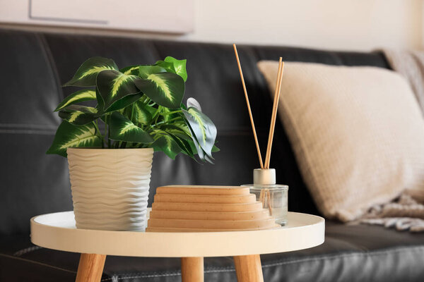 Houseplant and aroma oil diffuser on table in living room