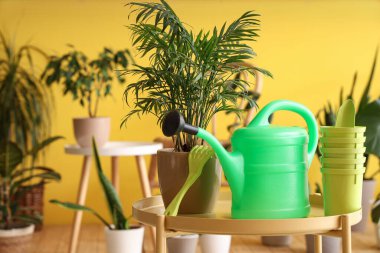 Bahçecilik aletleri seti atölyedeki masada, yakın plan