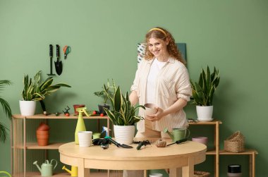 Ot, farklı aletler ve evdeki masanın yanındaki sansevieria bitkileriyle güzel bir kadın.