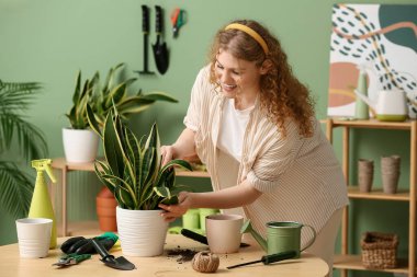 Evdeki masanın yanında farklı aletleri ve sansevierisi olan güzel genç bir kadın.
