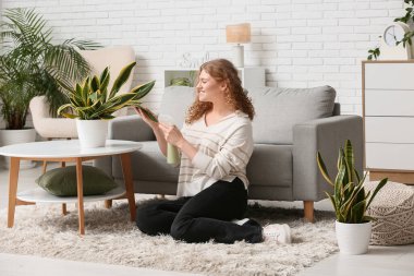 Evdeki sansevieria bitkisini sulayan sprey şişeli güzel bir genç kadın.