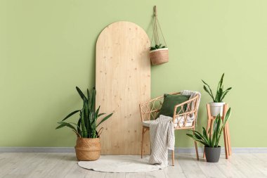 Koltuklu ve Sansevieria bitkilerli bir oda.