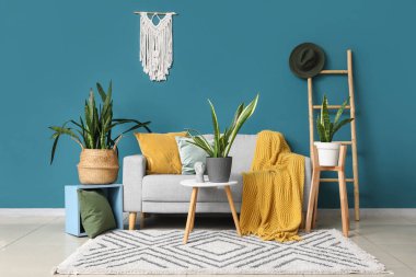 Oturma odasının içinde kanepe, merdiven ve Sansevieria bitkileri var.