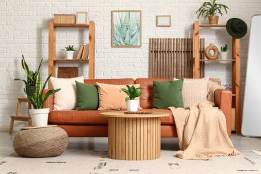 Oturma odasının içinde kanepe, raf üniteleri ve Sansevieria bitkileri var.