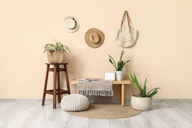 İçinde bank, şapka ve Sansevieria bitkileri olan bir oda.