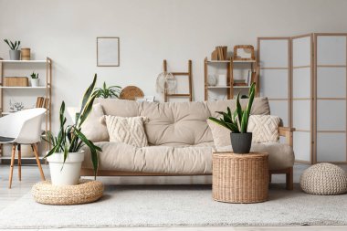 Kanepe ve Sansevieria bitkileriyle aydınlık oturma odasının içinde.