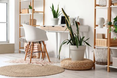 İş yeri ve Sansevieria bitkileriyle aydınlık ofisin içi