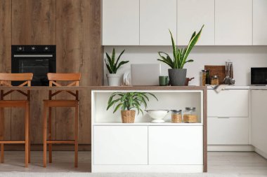 Mutfağın içi tezgah, masa ve Sansevieria bitkileriyle dolu.