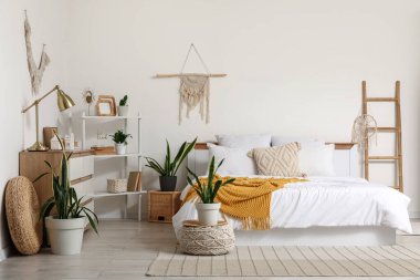 Raf ünitesi ve Sansevieria bitkileriyle aydınlık yatak odasının içi