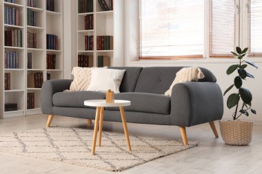 Modern gri kanepe ve oturma odasında bir sürü kitabı olan kitaplıklar.