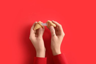 Kırmızı arka planda kırık fal kurabiyesi olan kadın elleri