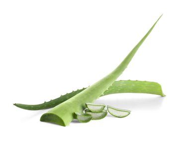 Taze Aloe vera yaprakları beyaz arkaplanda izole edilmiş