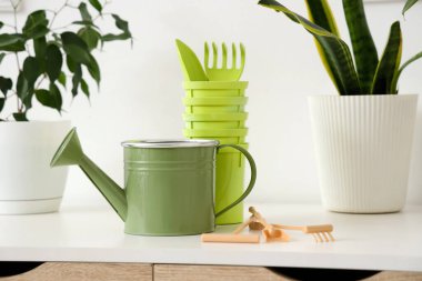 Bahçecilik aletleri seti atölyedeki bitkiler, yakın çekim