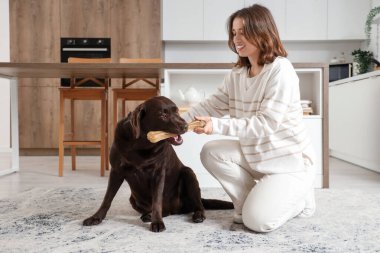 Genç kadın mutfakta Labrador köpeğine atıştırmalık veriyor.