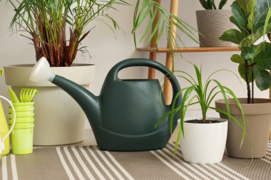 Odada yeşil bitkilerle sulanan teneke kutu.