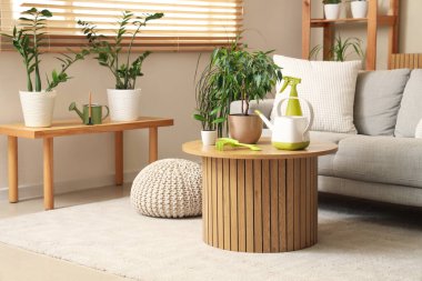 Oturma odasının içinde kanepe, yeşil bitkiler ve bahçe aletleri var.