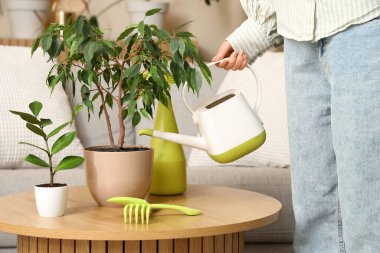 Evdeki yeşil çiçekleri sulayan kadın, yakın plan.