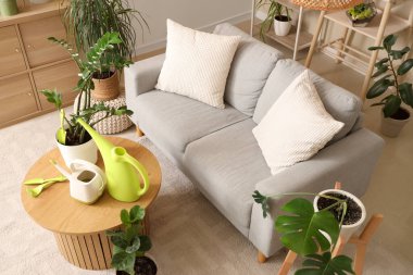 Oturma odasının içinde kanepe, yeşil bitkiler ve bahçe aletleri var.