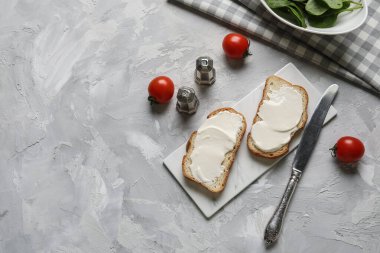 İşlenmiş peynirli lezzetli bruschetta ve gri arka planda taze domatesler. Üst görünüm