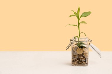 Bozuk paralarla dolu kavanoz ve bej arkaplan üzerine yerleştirilmiş bitki