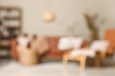 Rahat bir kanepe, ayaklı bir koltuk ve oturma odasının içindeki sepetin üzerinde kurumuş çiçekler. Bulanık görünüm