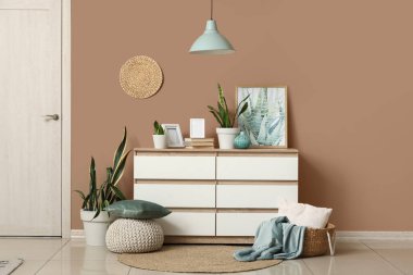 Sansevieria bitkileri, kitaplar, çerçeveler ve oturma odasının iç kısımlarında resim sandıkları.