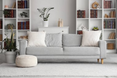 Kanepesi ve kitaplığı olan modern oturma odasının içinde.