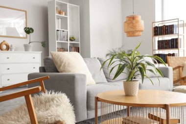 Kitaplıklar, rahat kanepe, hasır koltuklar ve modern oturma odasının içindeki kahve masası.