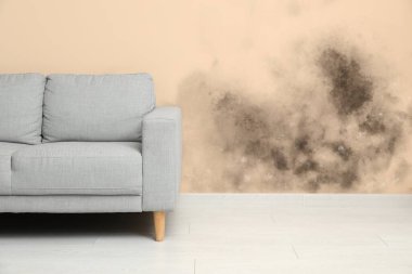 Sofa near beige wall with mold   clipart