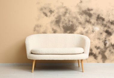 Sofa near beige wall with mold   clipart