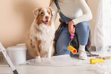 Yeni evdeki tamirat sırasında paten ve şirin Avustralyalı çoban köpeği olan Afro-Amerikan kadın ressam.
