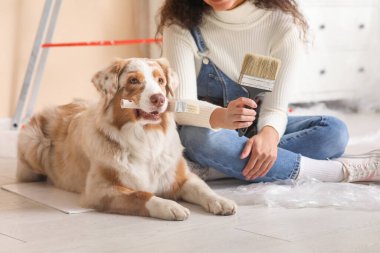 Fırçalı ve şirin Avustralyalı çoban köpeği olan Afro-Amerikalı kadın ressam yeni evdeki tamirat sırasında oturuyor.