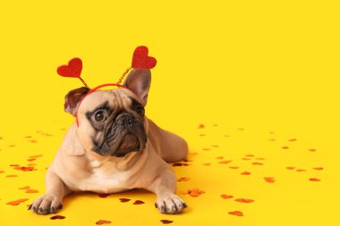 Sarı arka planda kalpleri ve konfetisi olan saç bantlı sevimli Fransız bulldog 'u. Sevgililer Günü kutlaması