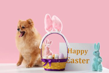 Paskalya tavşanları, yumurtaları ve kartları pembe arka planda olan şirin Pomeranya köpeği.