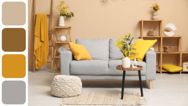 Gri kanepe ve vazolarda mimoza çiçekleri olan oturma odasının içinde. Farklı renk desenleri