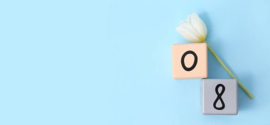 Takvim ve açık mavi zemin üzerinde güzel lale ve metin için boşluk. Uluslararası Kadınlar Günü