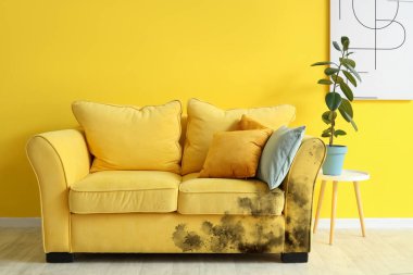 Odanın içinde küflü sarı kanepe.