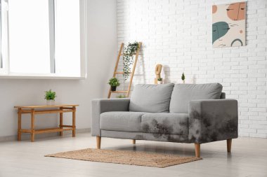 Grey sofa with mold in interior of living room clipart