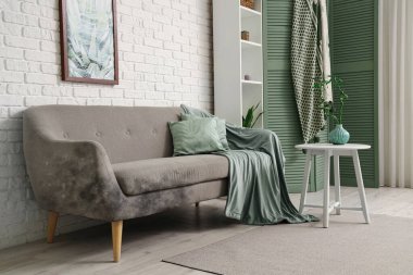 Oturma odasının içinde küf olan gri kanepe.