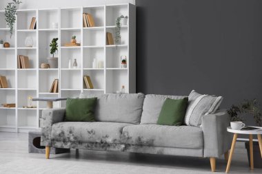 Odanın içinde küf olan gri kanepe.