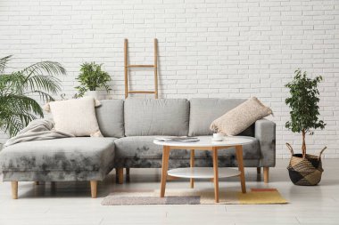 Grey sofa with mold in interior of living room clipart