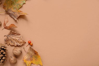 Bej arkaplanda sonbahar ormanı dekoru olan kompozisyon