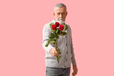 Pembe arka planda gül çiçekleri olan olgun bir adam. Sevgililer Günü kutlaması
