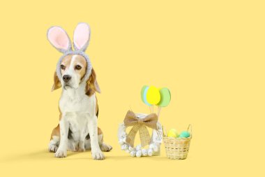 Tavşan kulaklı şirin Beagle köpeği. Sarı arka planda Paskalya yumurtası ve çelengi var.