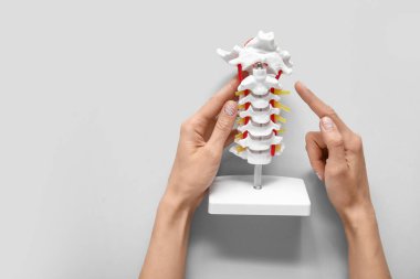 Omurgası hafif arka planda olan kadın.